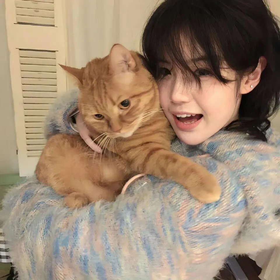 大神偷卡门第三季